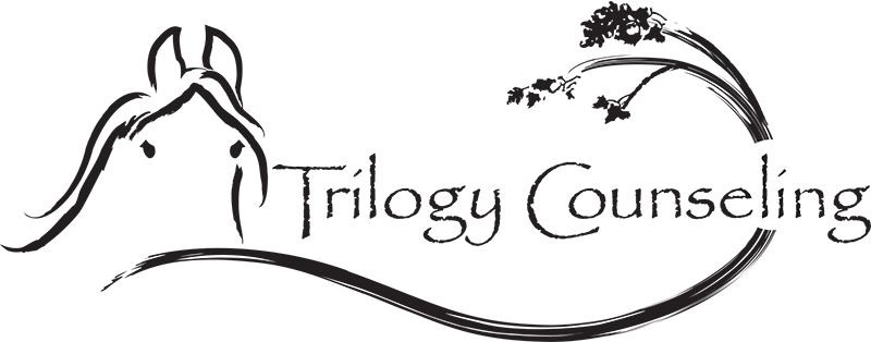 Trilogy Counseling Center in Michigan